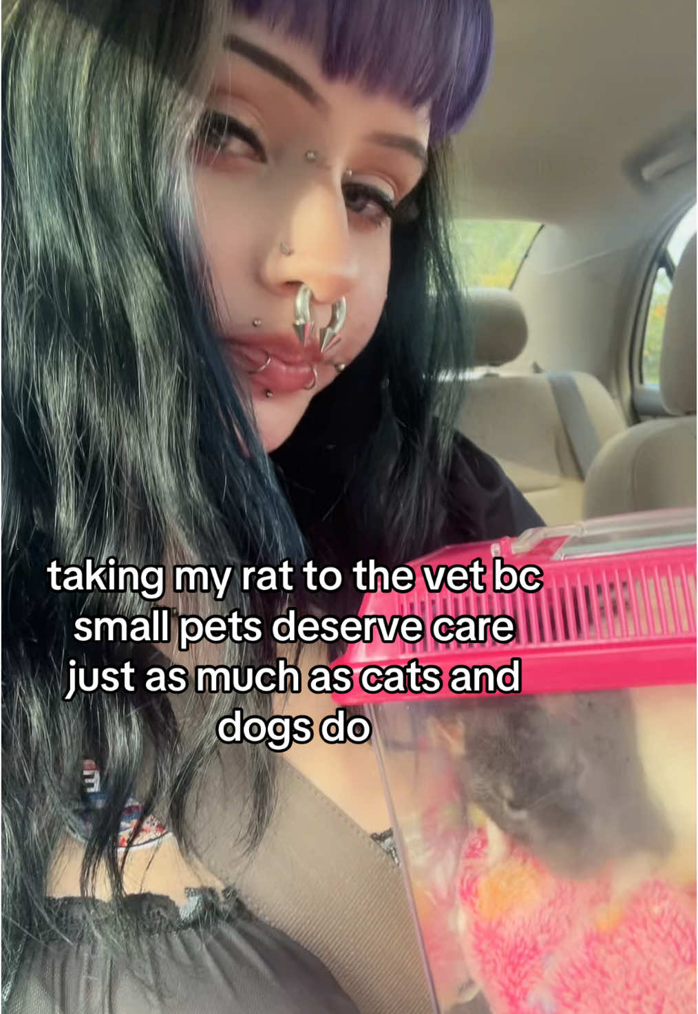 @d3ad.irl