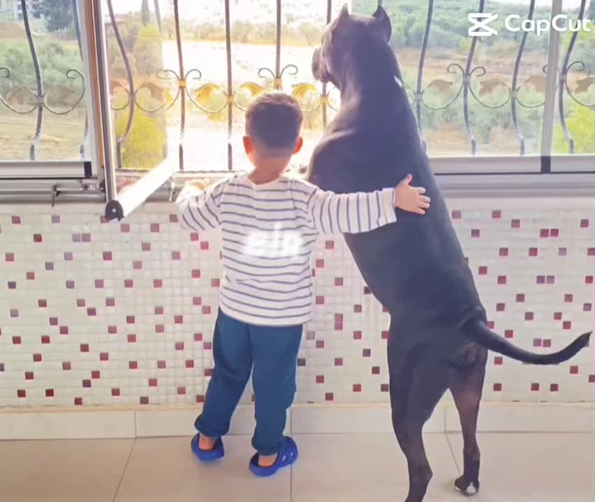 @Meliha Tahsin Duru