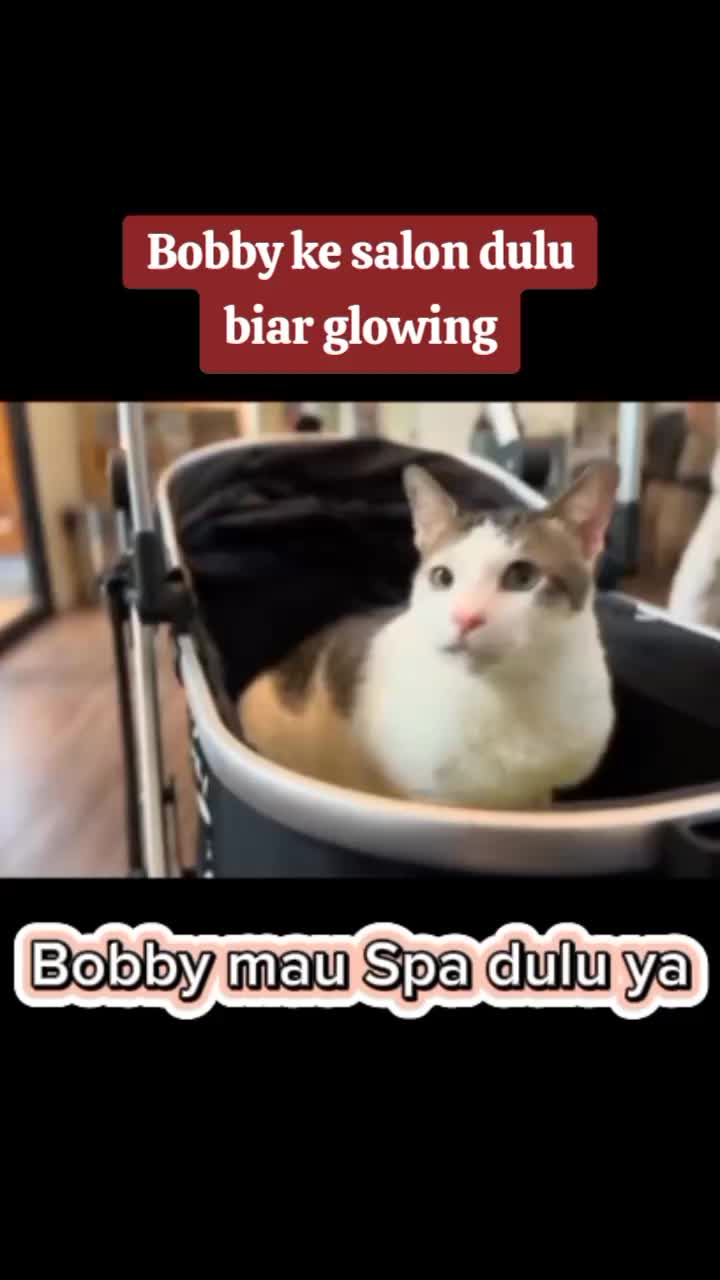 @Roslan.Robert