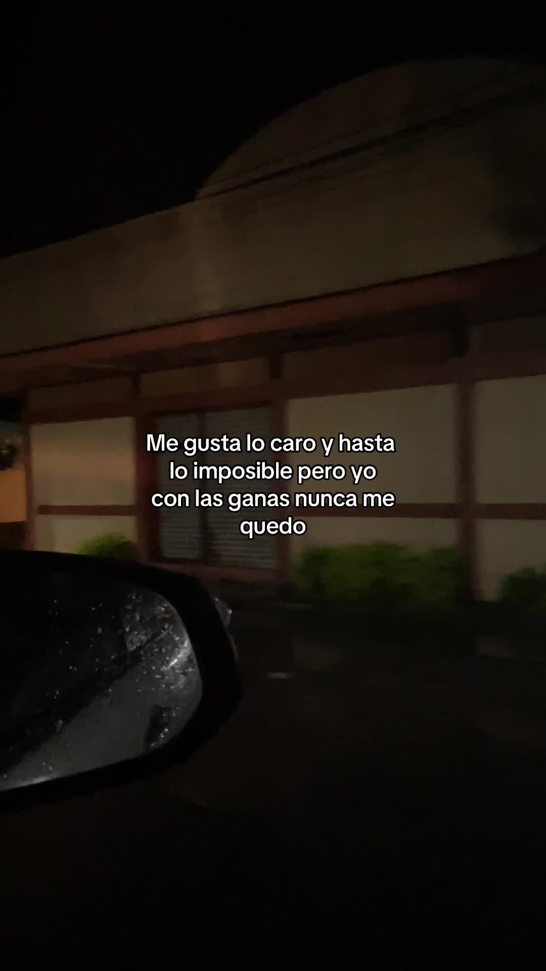 @david marroking🦍