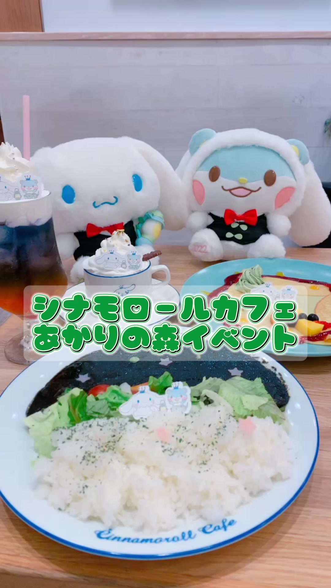 @みん🩵☁️シナモロール生活
