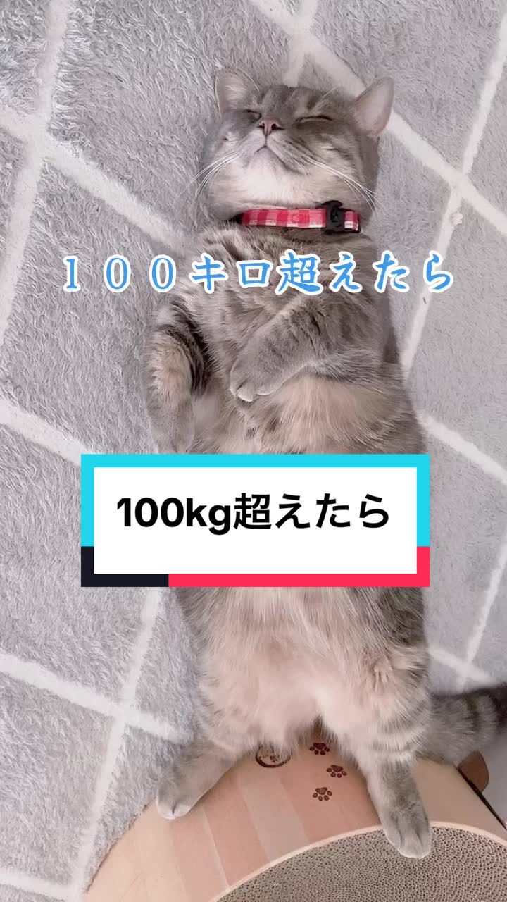 @ふたば🌱︎ᵕ̈