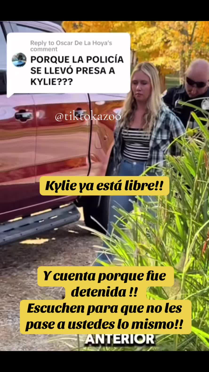 @tiktokazo
