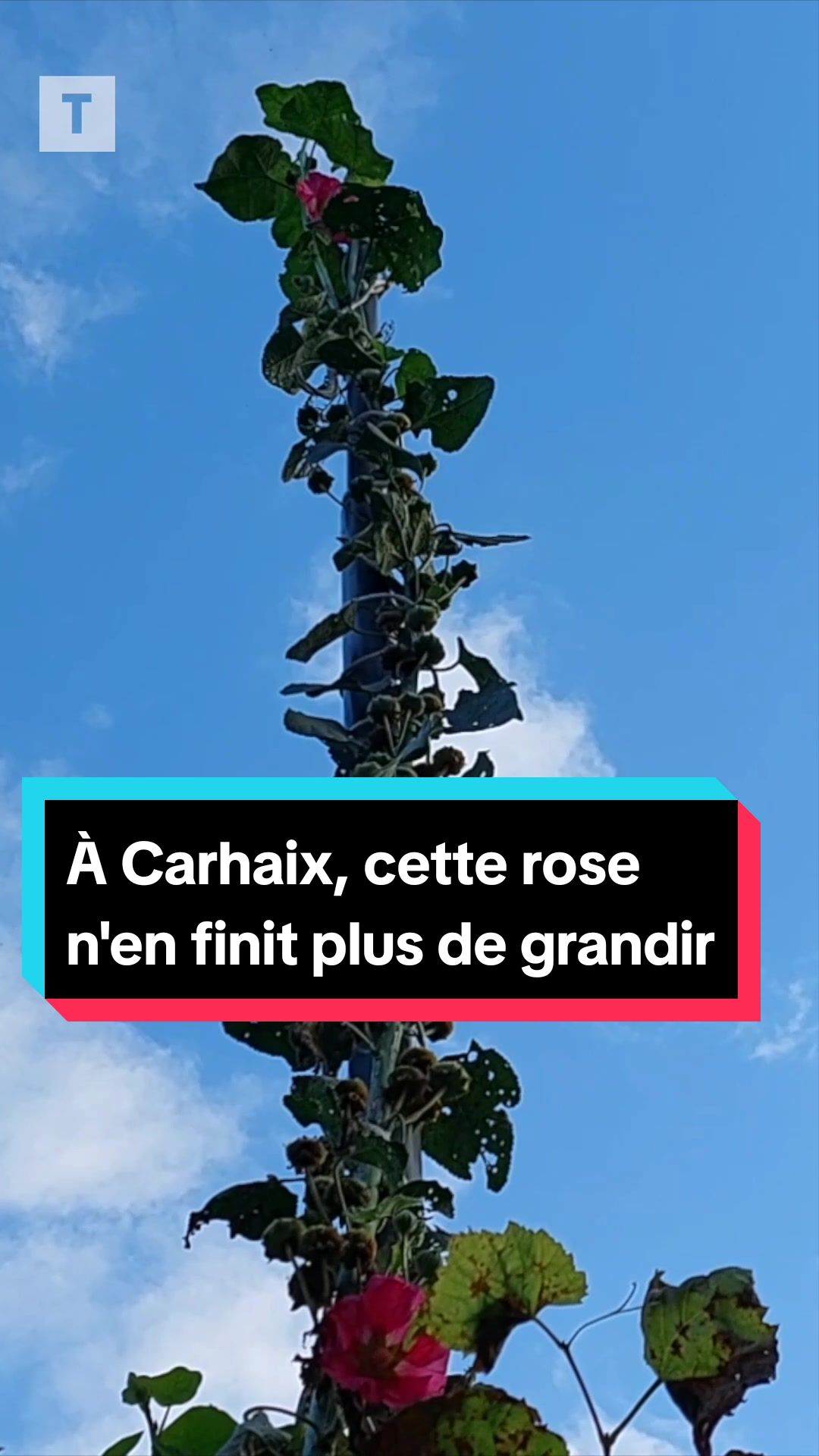 @Le T&eacute;l&eacute;gramme