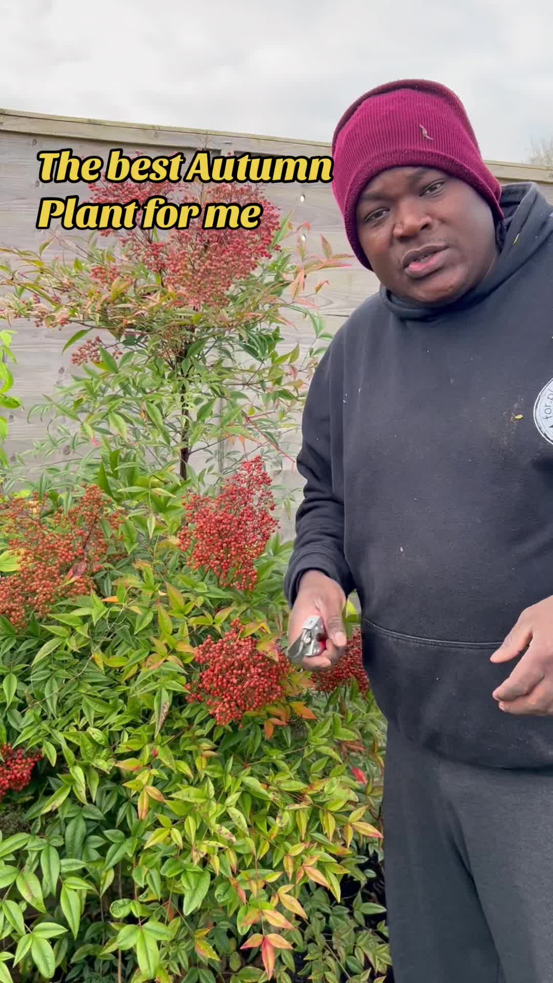 @Izwe