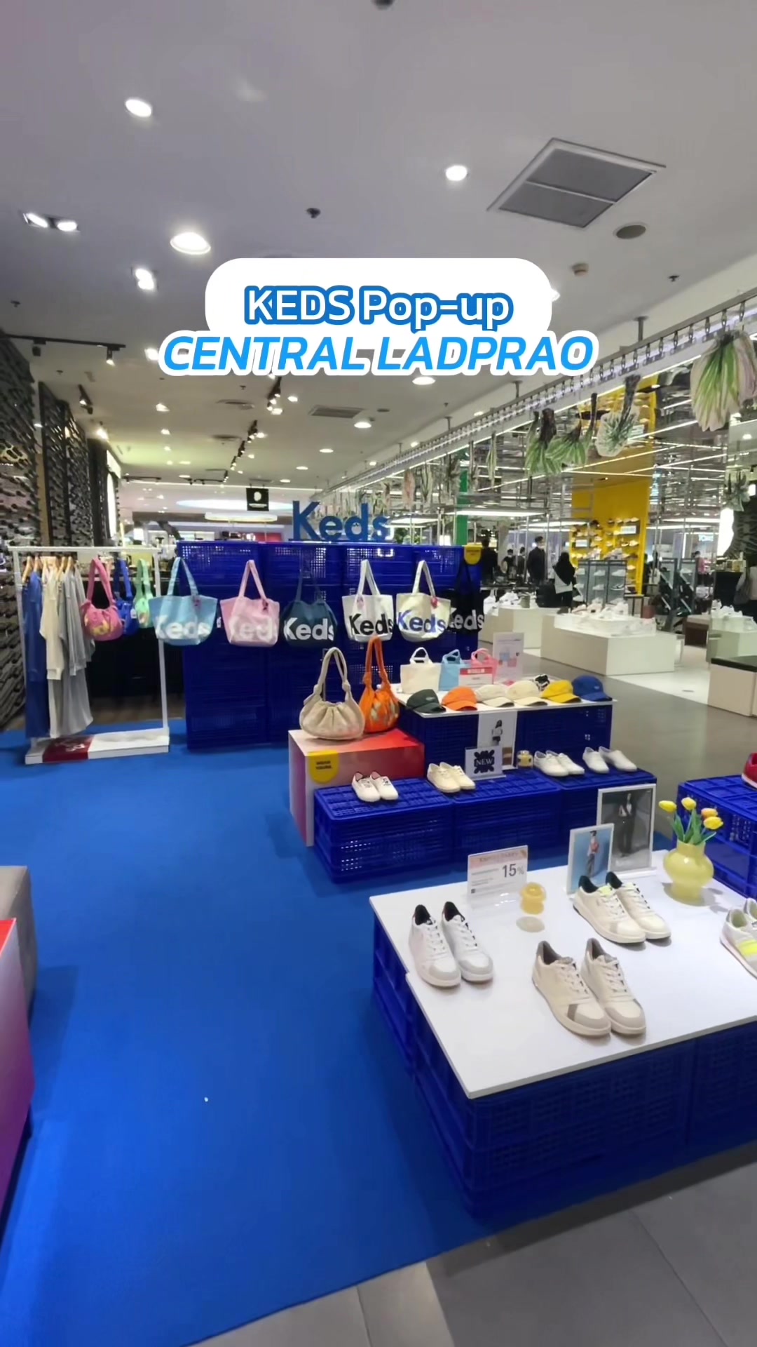 @kedsthailand