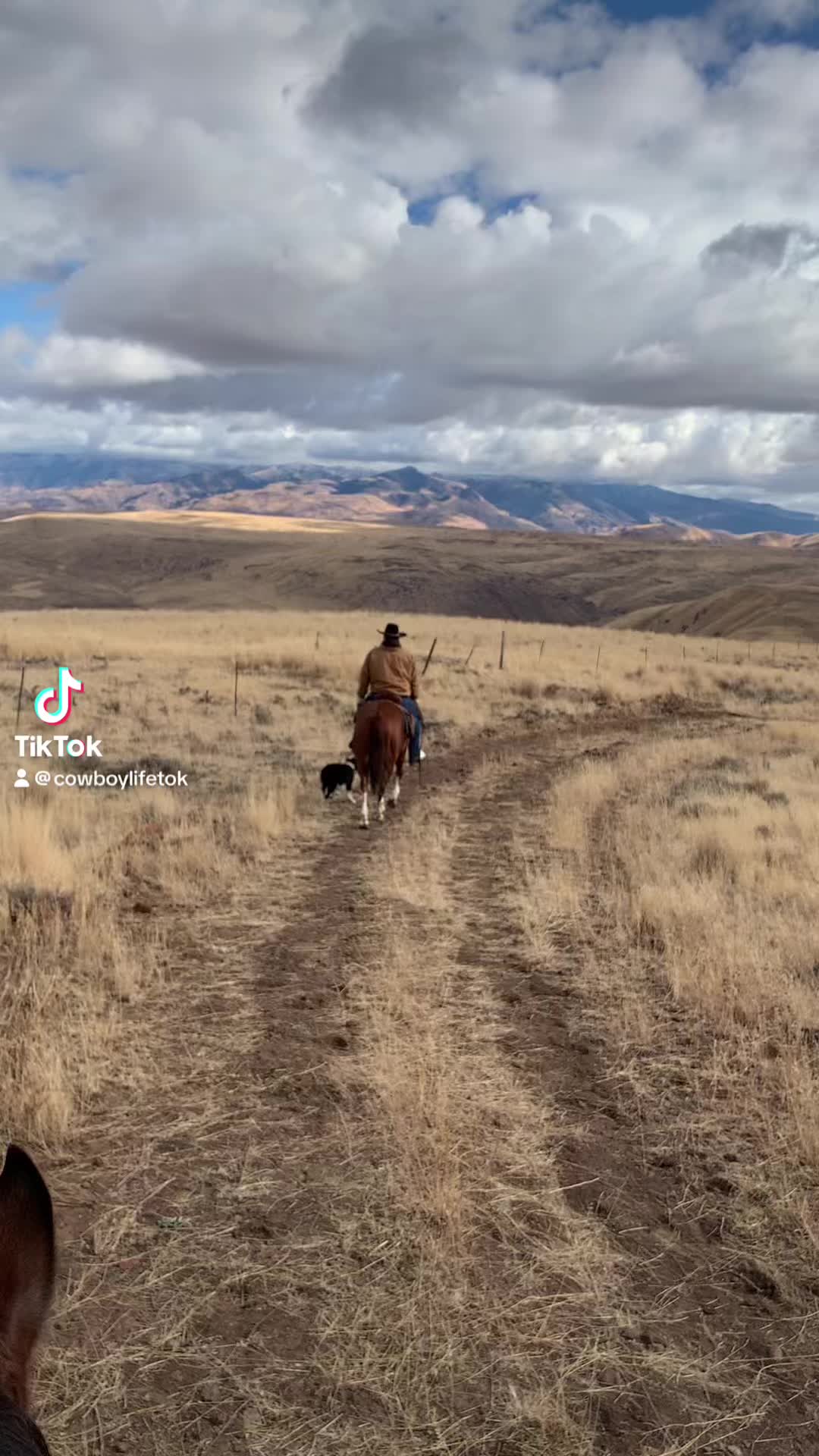 @Cowboytok