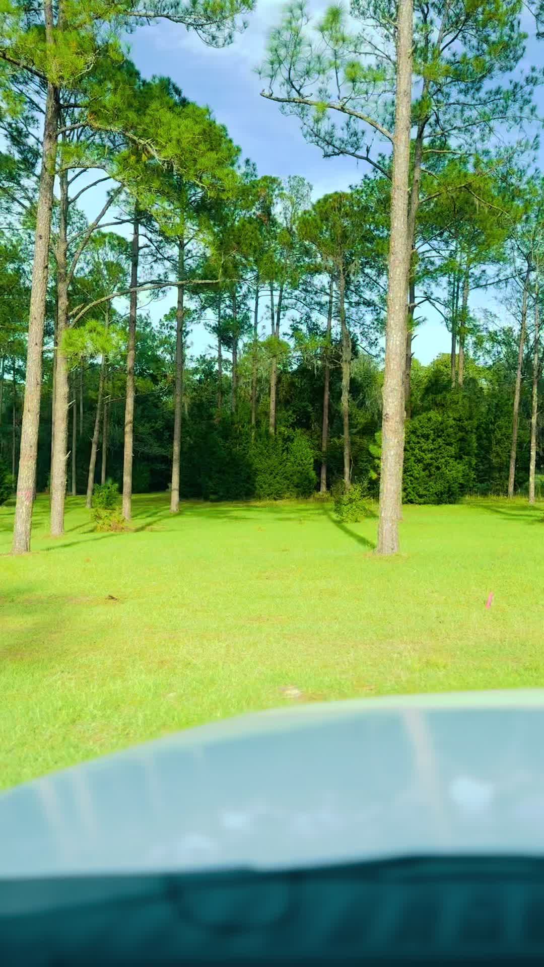 @dillnye3