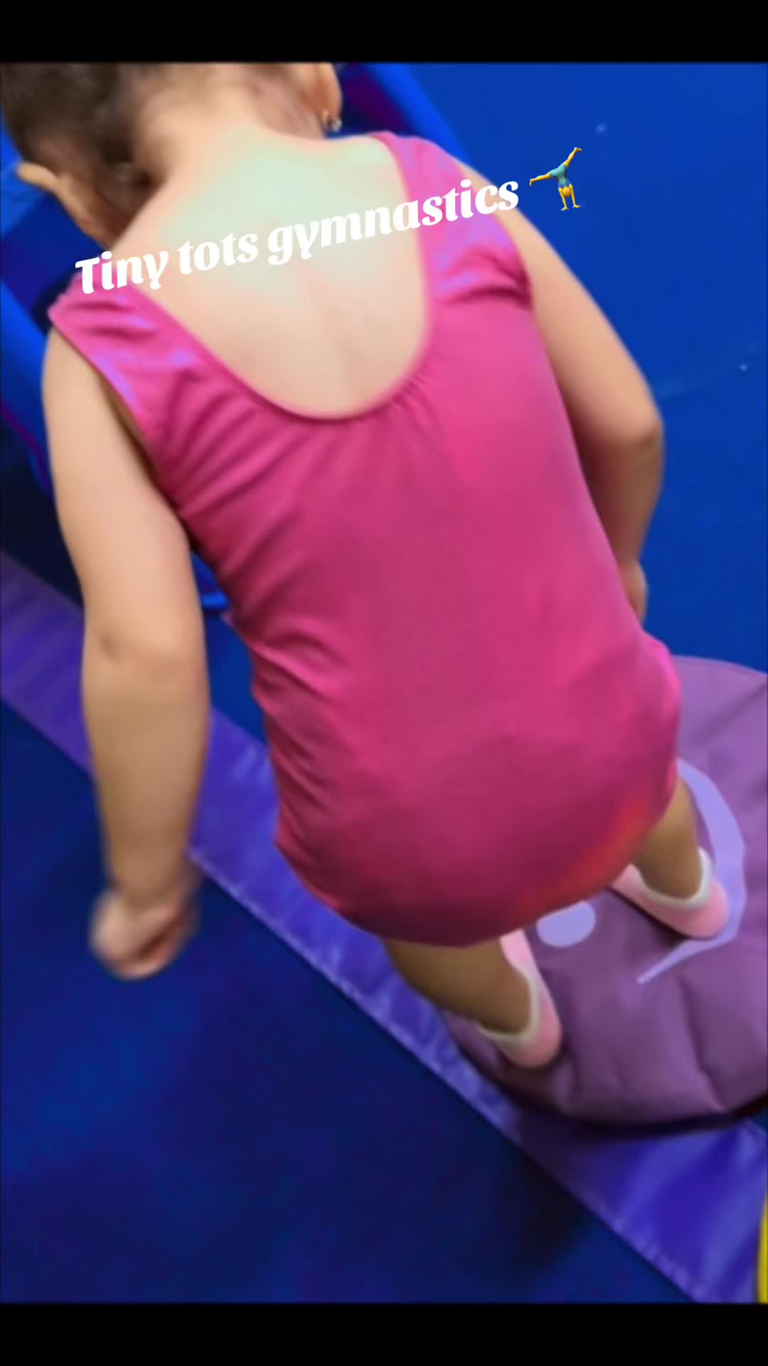 @TheLunas
