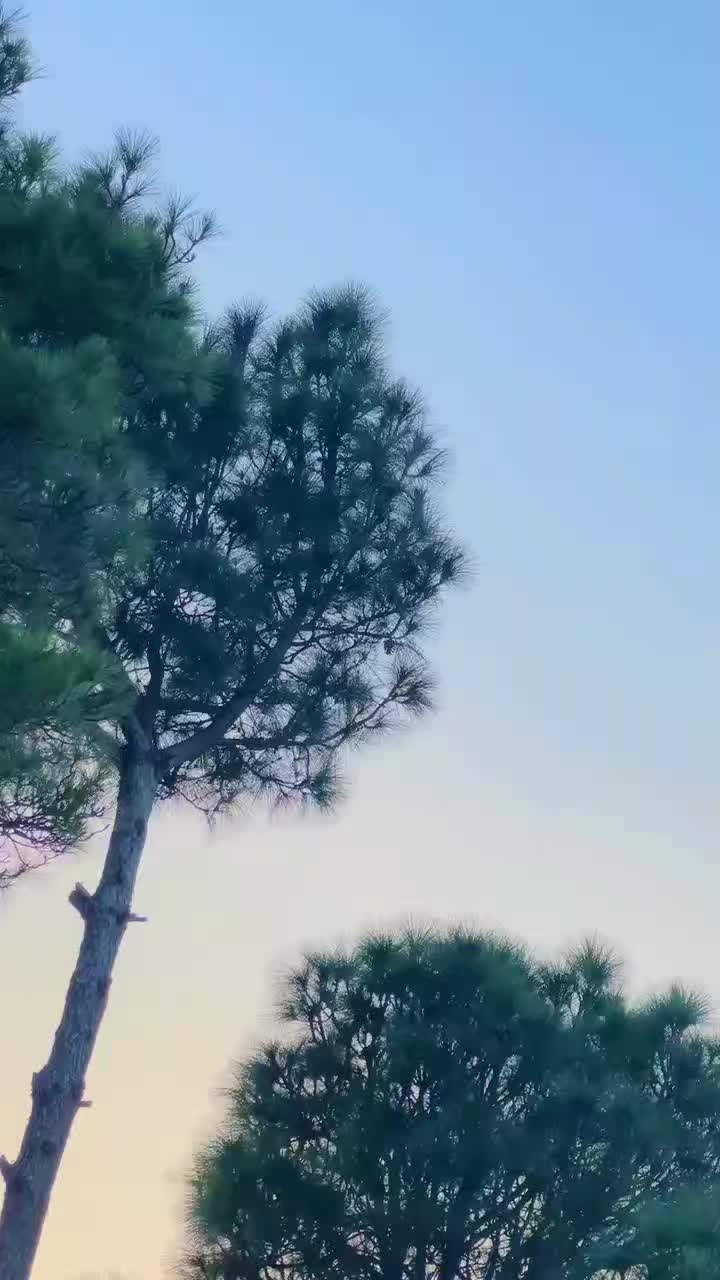 @𝐒𝐀𝐋𝐎𝐨