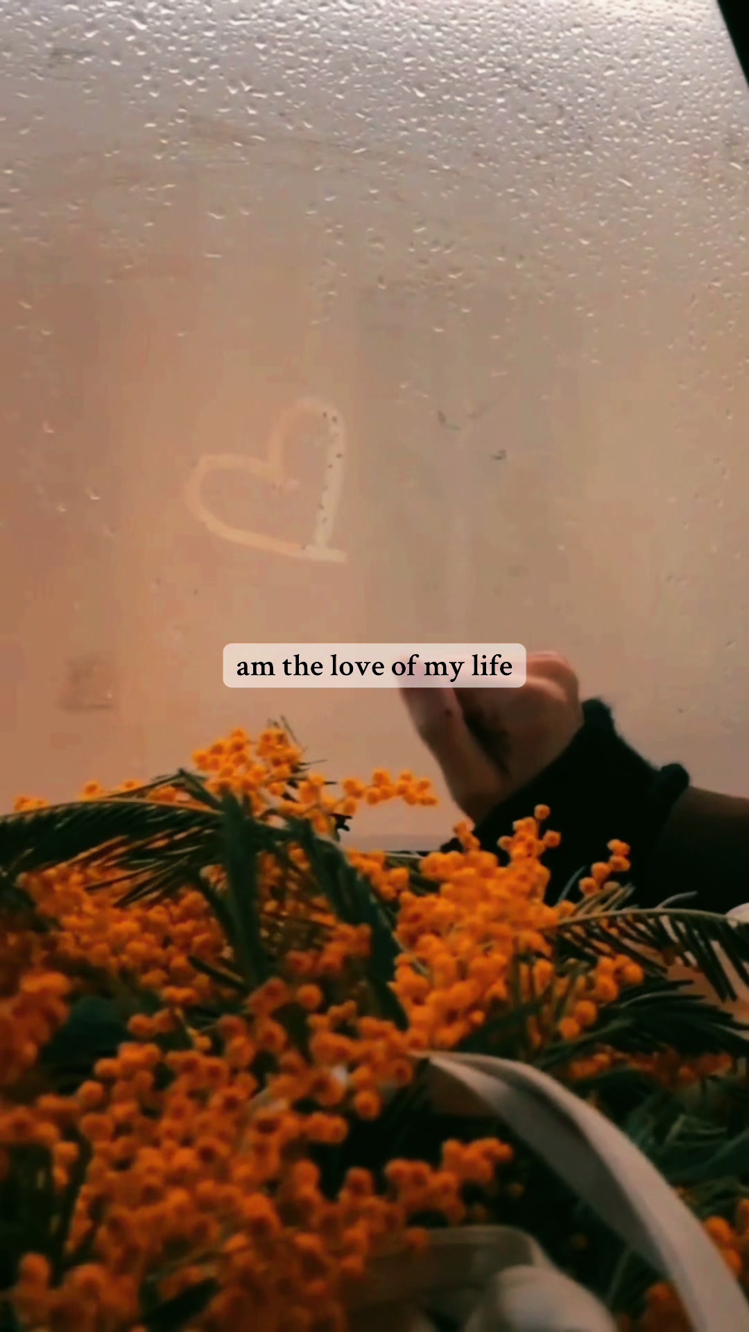 @HealingWanderer