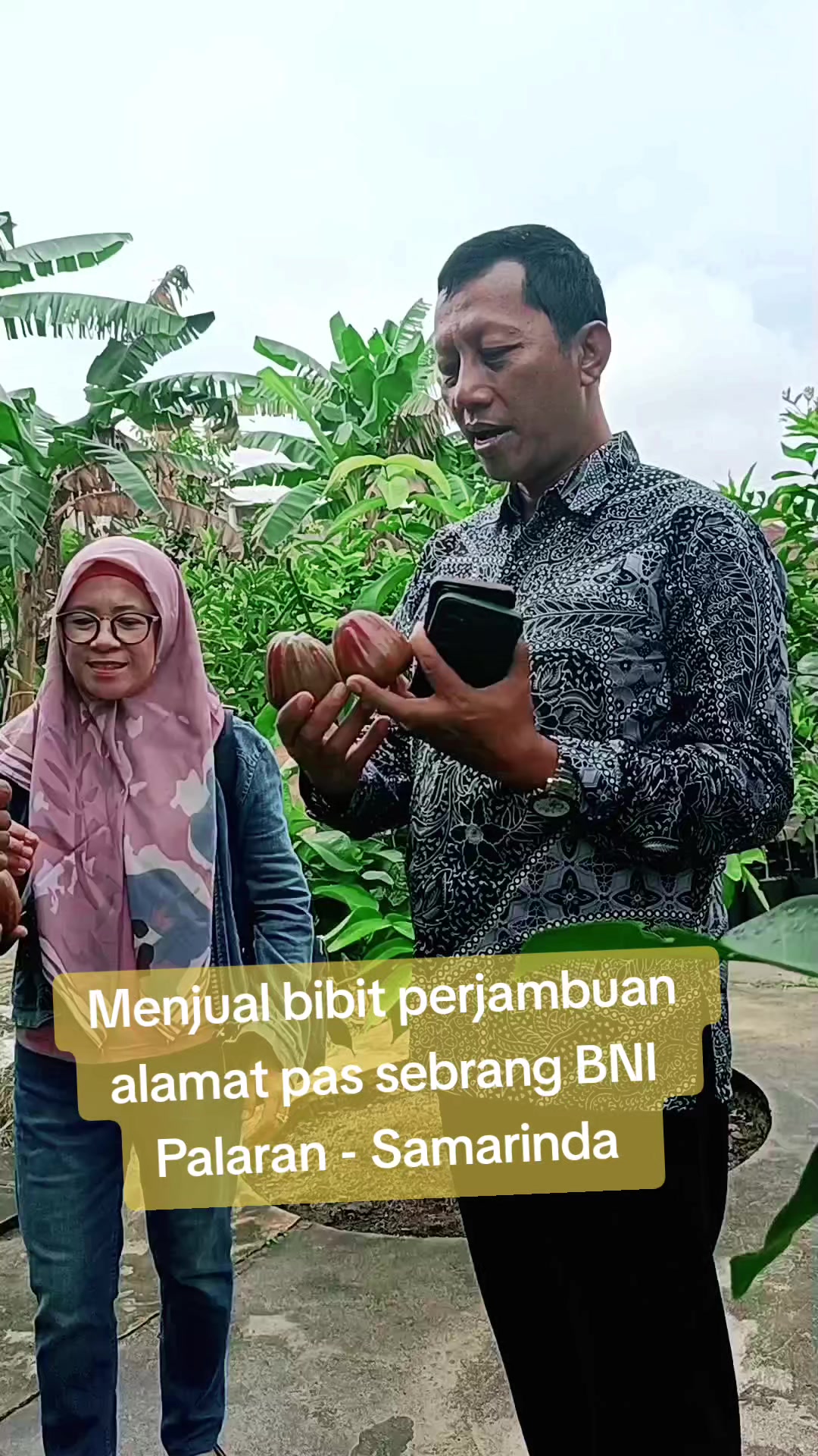 @Bibit khusus samarinda