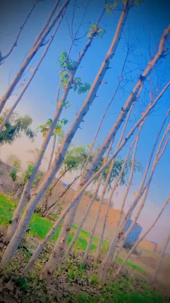 @it's MOHMAND