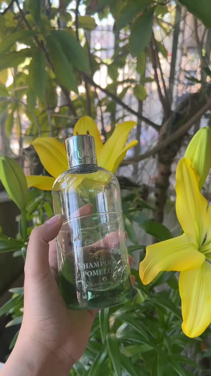@Chamsoctoccungmy