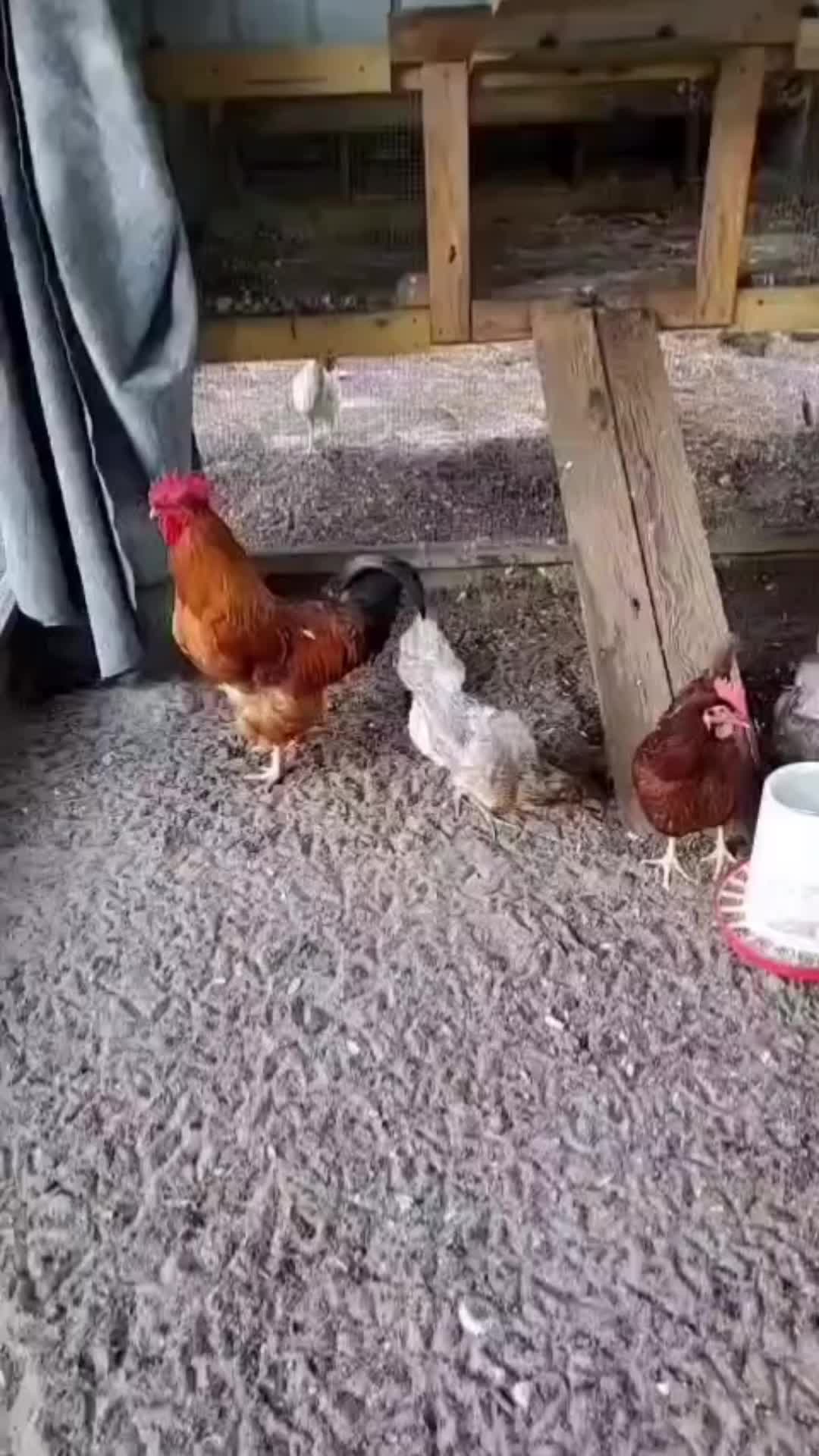 @h