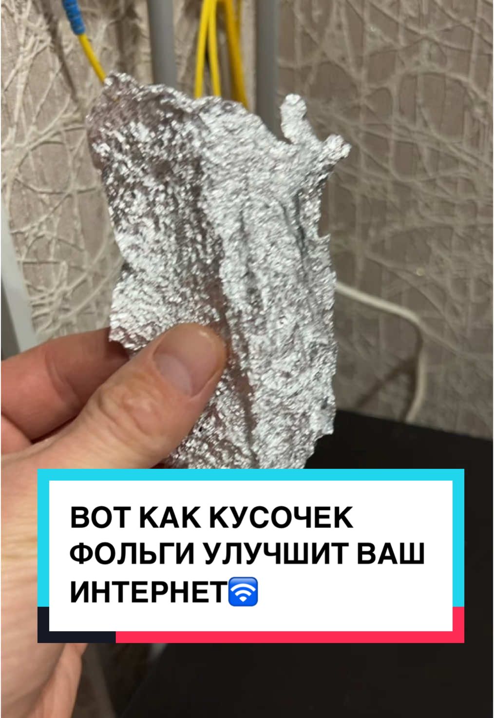 @laifhak_mozgi