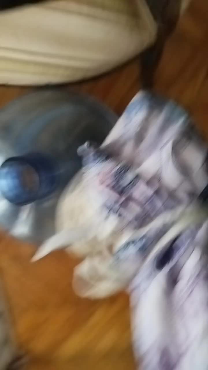 @chenfish