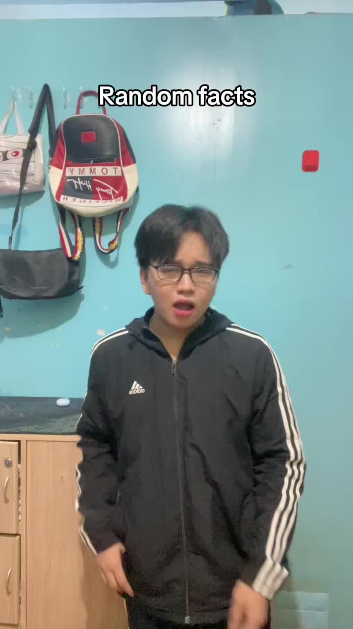 @A R M A N D O