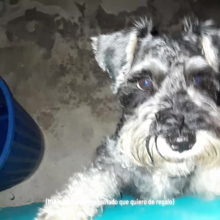 @Cindy_0704