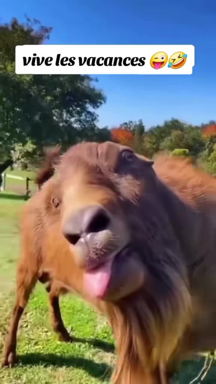 @Chieuse2112