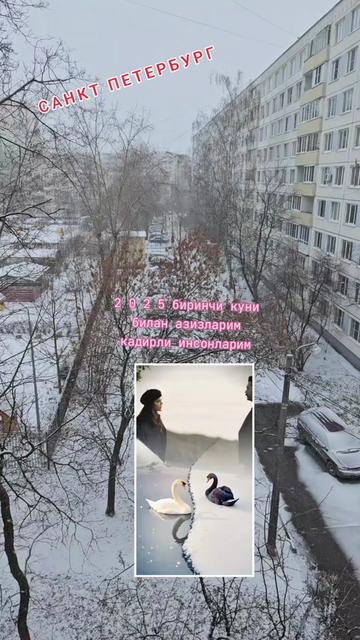 @❤️❤️❤️🫰ДИЛЯ КАРАЛЕВА 🫰❤️❤️❤️