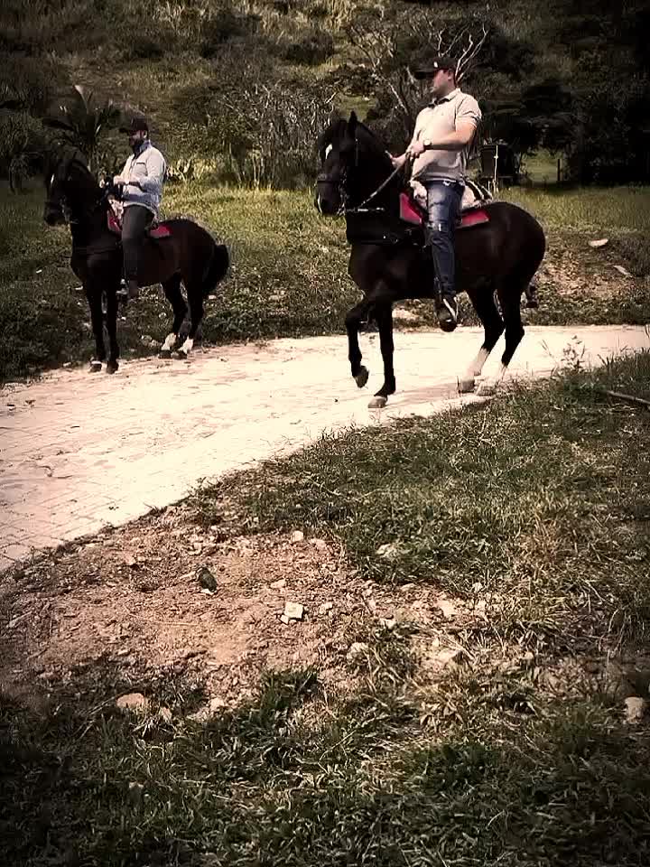 @Diego Alexander Rodr&iacute;guez