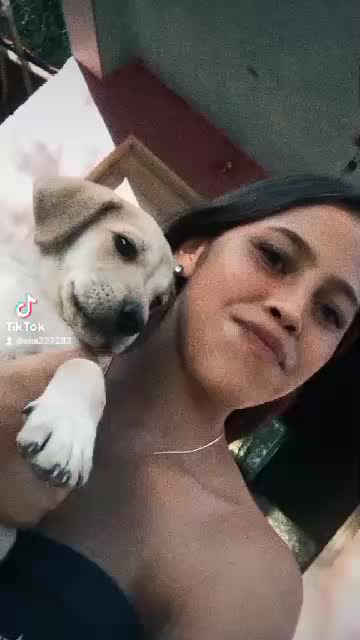 @@Dobobuto30