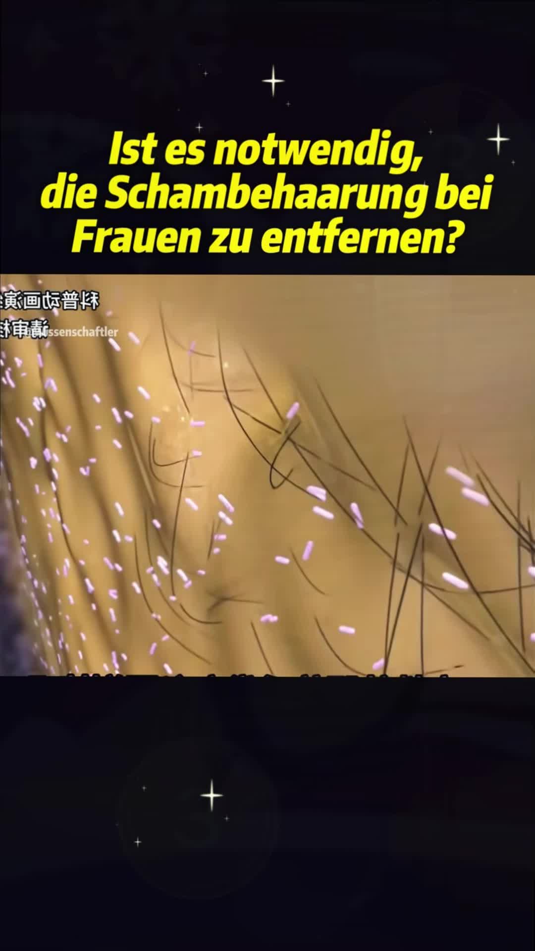 @Entdeckung und Erkundung
