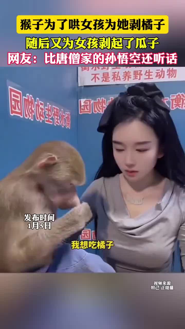 @北江魚