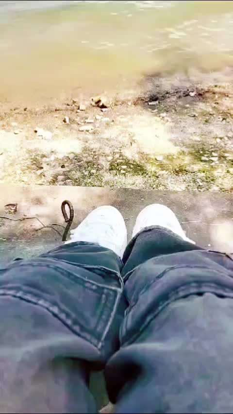 @nyumit