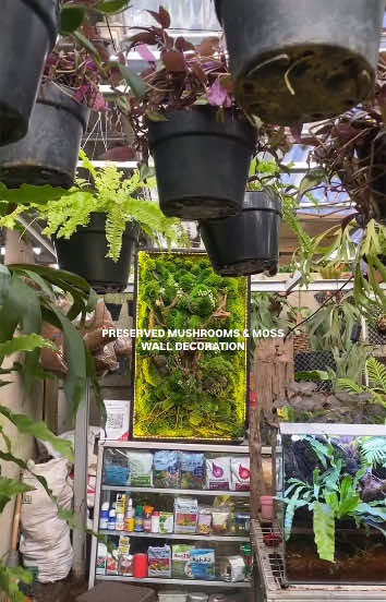 @Visuallscape