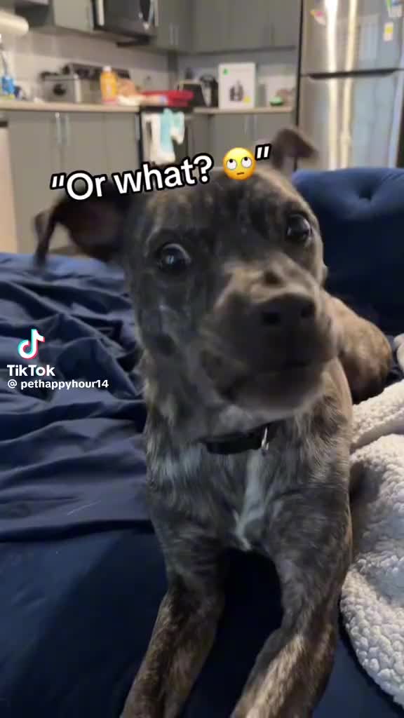 @locoloco3896