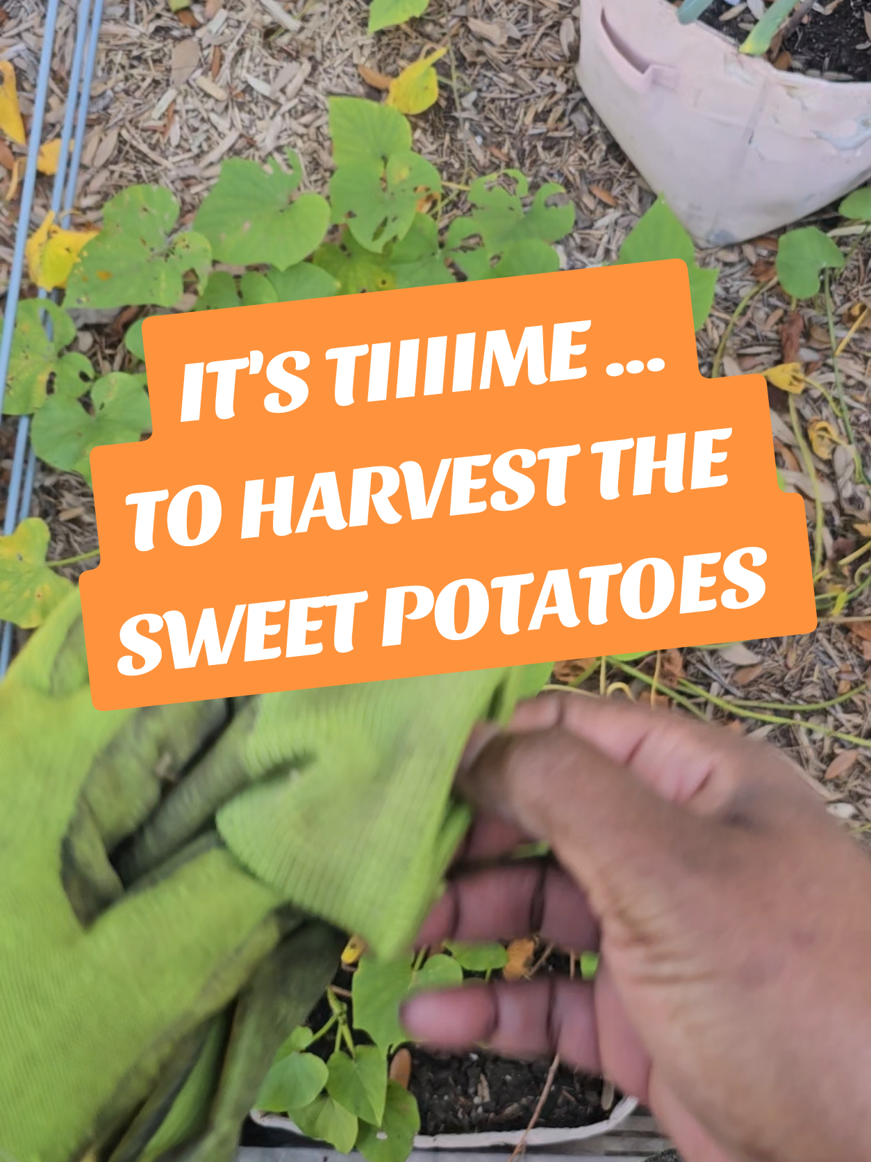 @#PlantGrowingTips