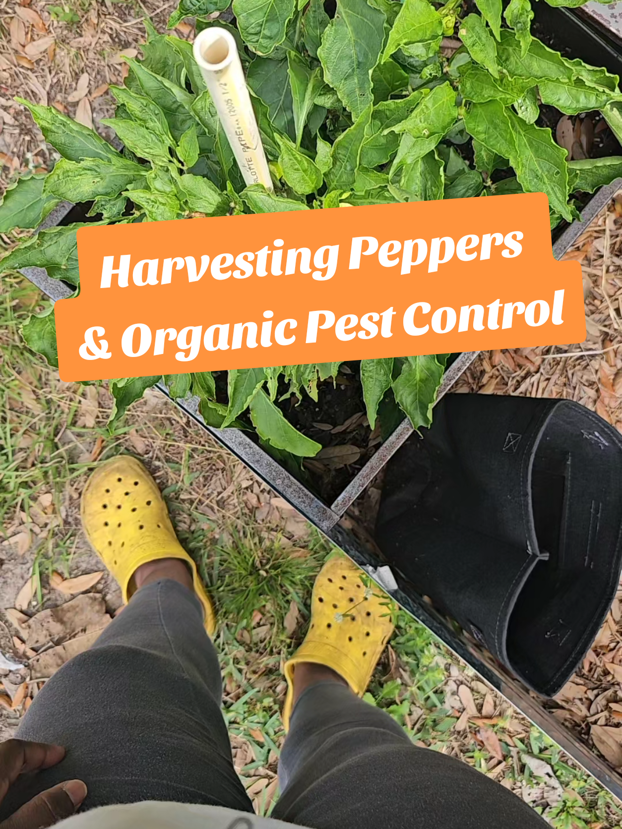 @#PlantGrowingTips