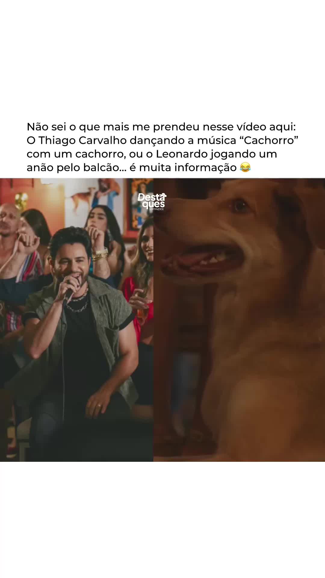 @DESTAQUE SERTANEJO
