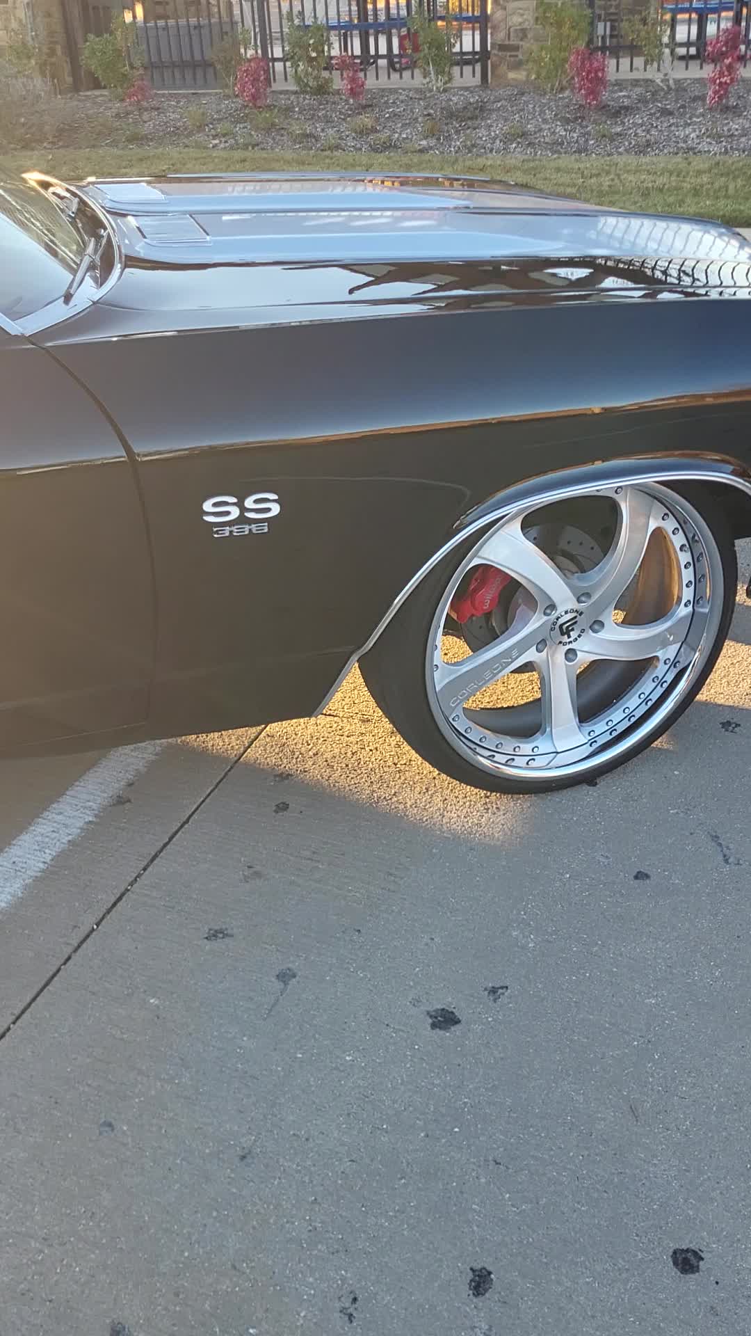 @MoMoney