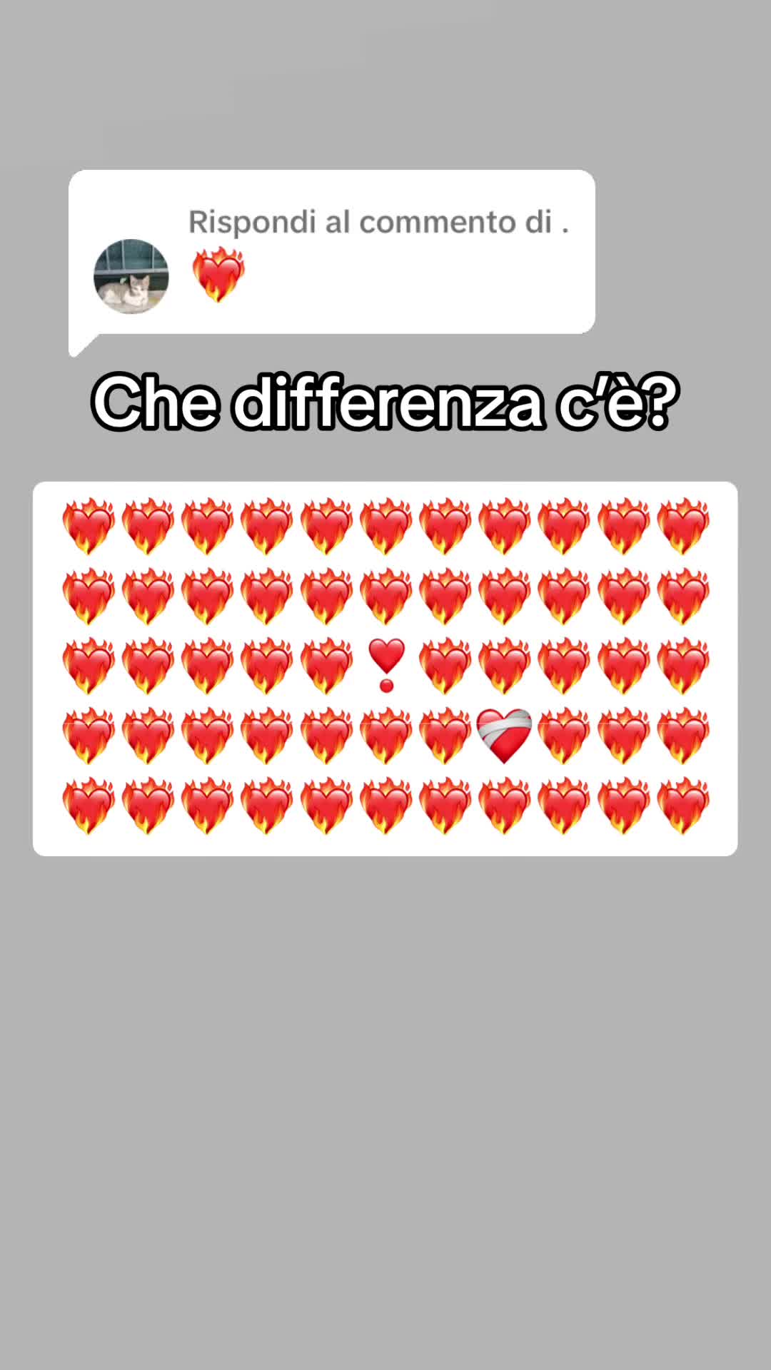 @Lara.2024