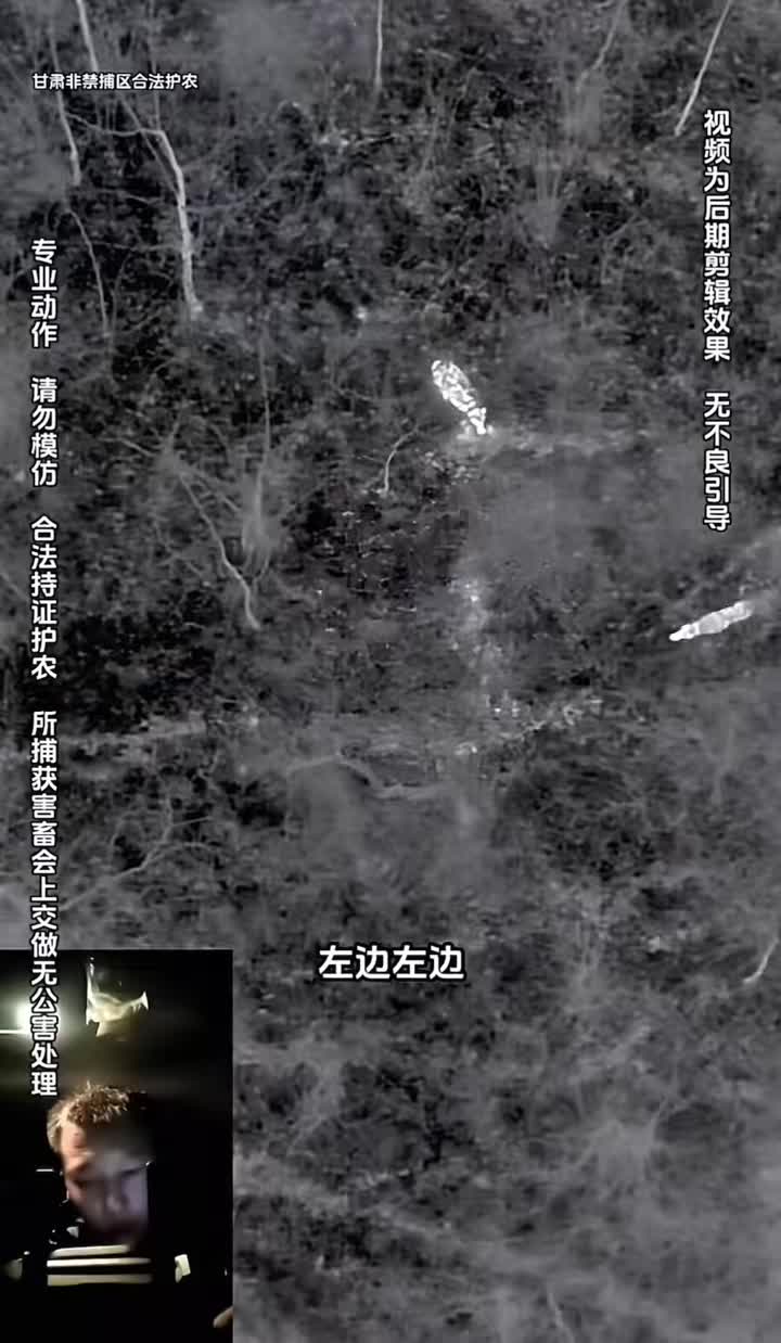 @水星小钻风