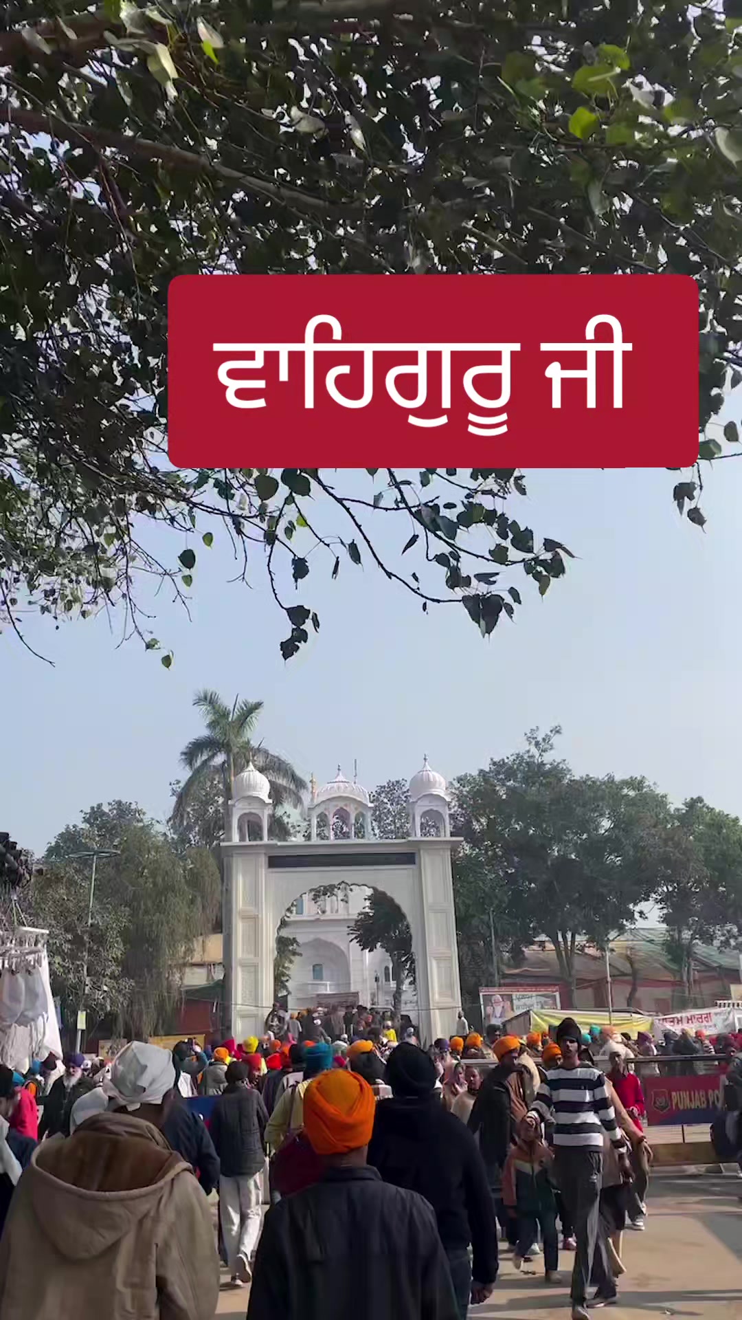 @MandeepBainspb12