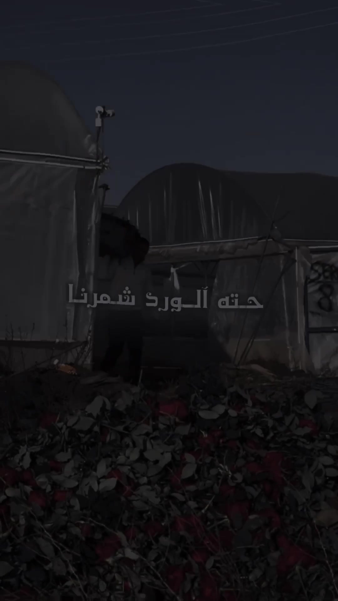 @احمد★