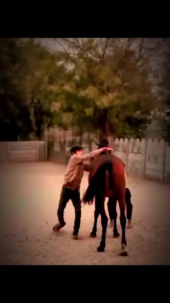 @Azhar Sanam 786