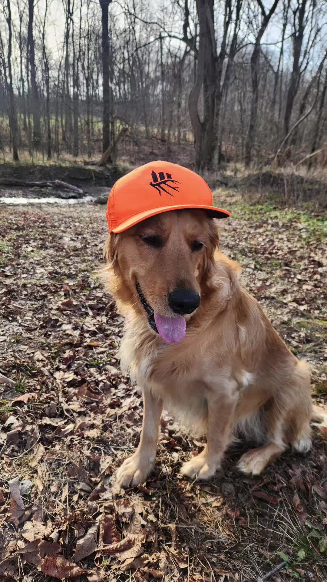 @shadow1outdoors