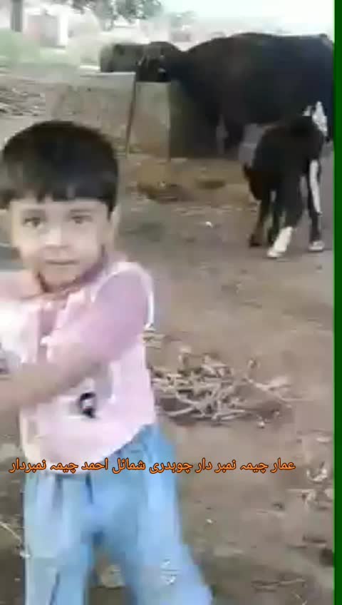 @🐦ماسٹر کاشف چیمہ نمبردار🥀🏐