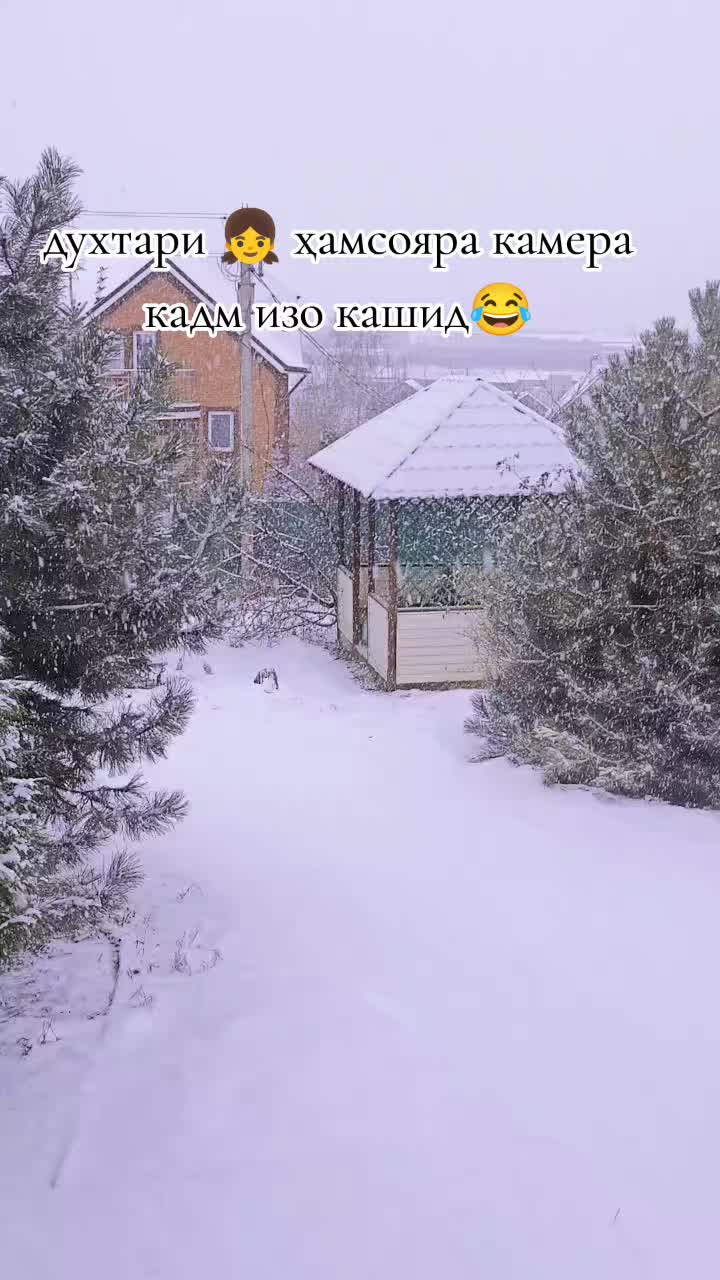 @🫴🏻🫠ёвони🫠