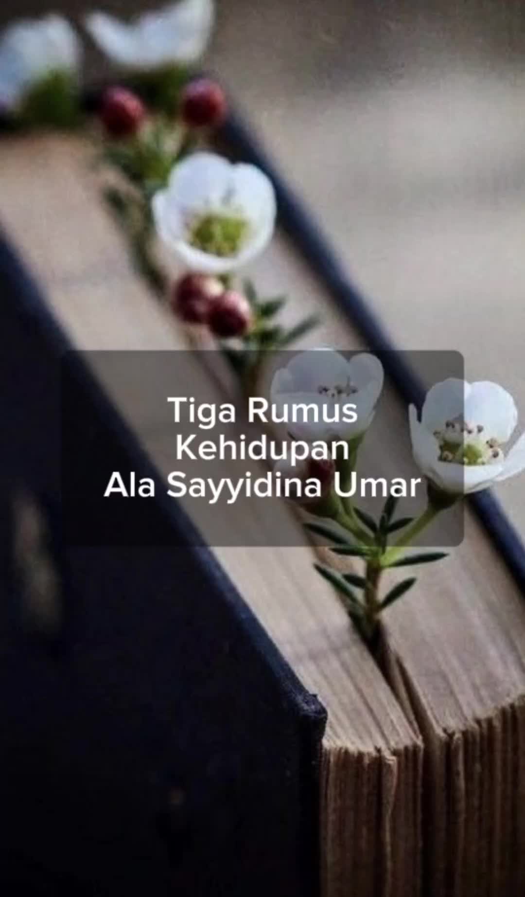 @sovia.au