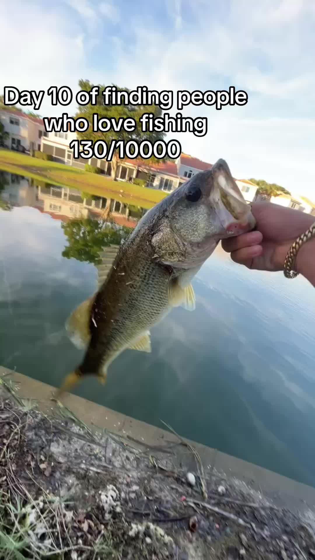 @DC.Fishin