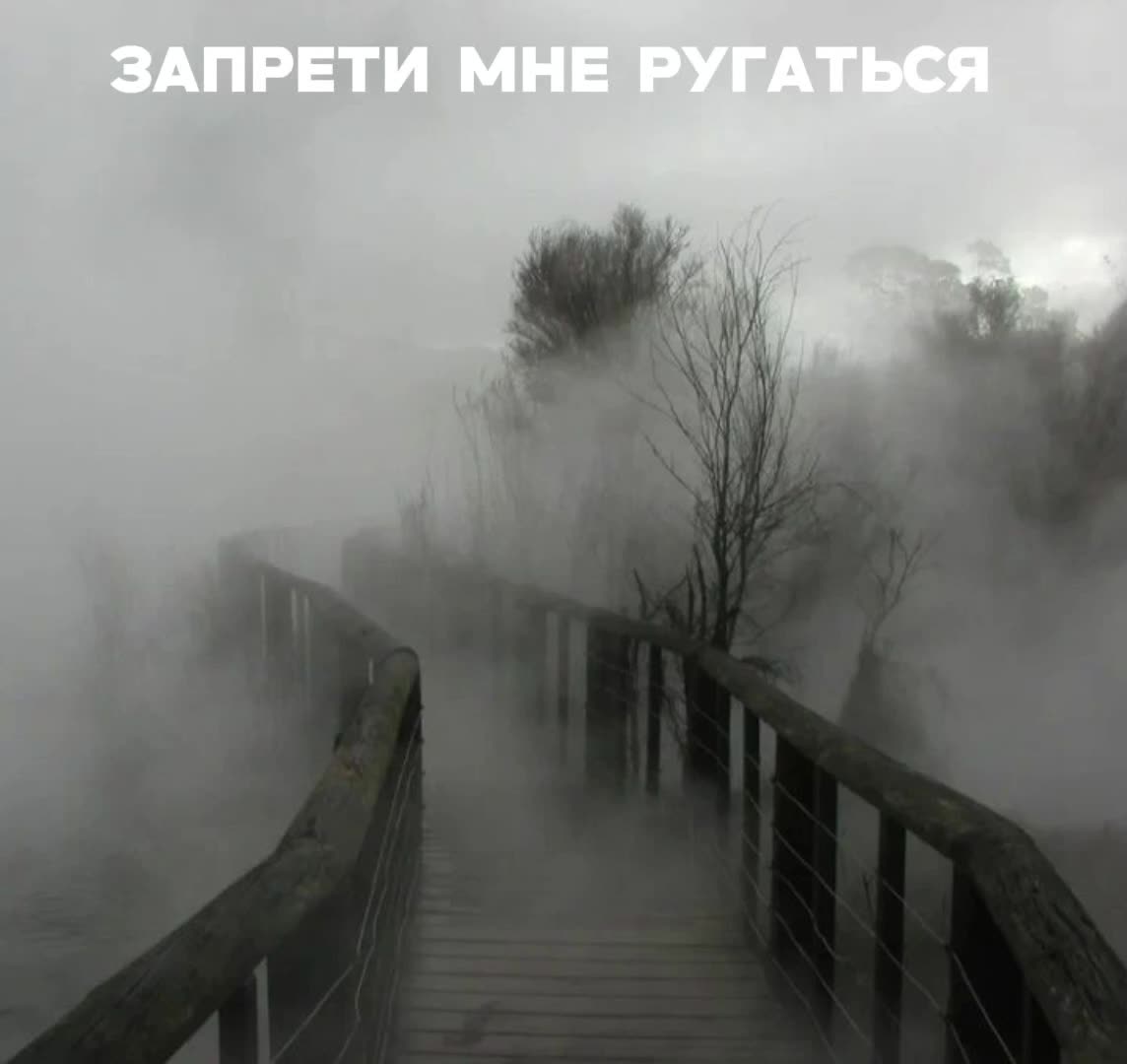 @тушёнка пикми