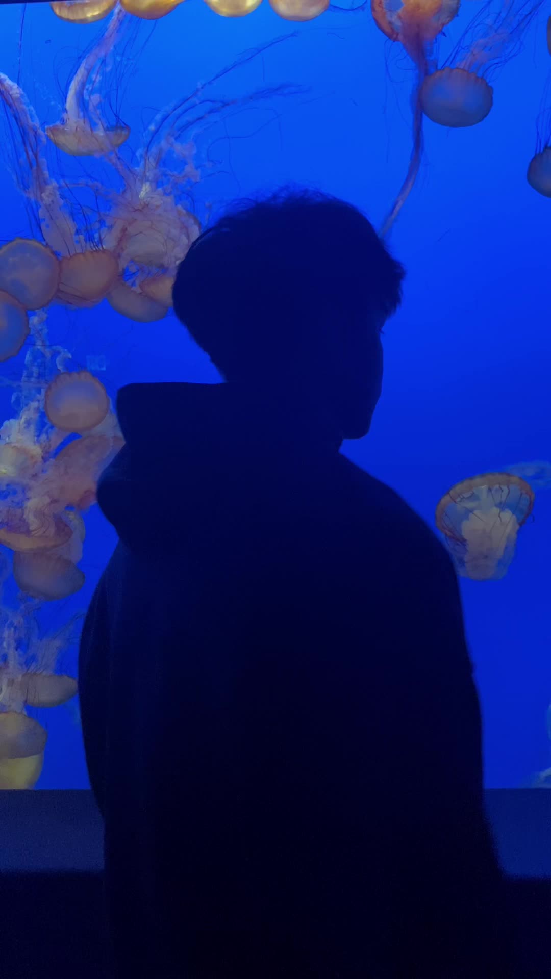 @sheri 🐻&zwj;❄️