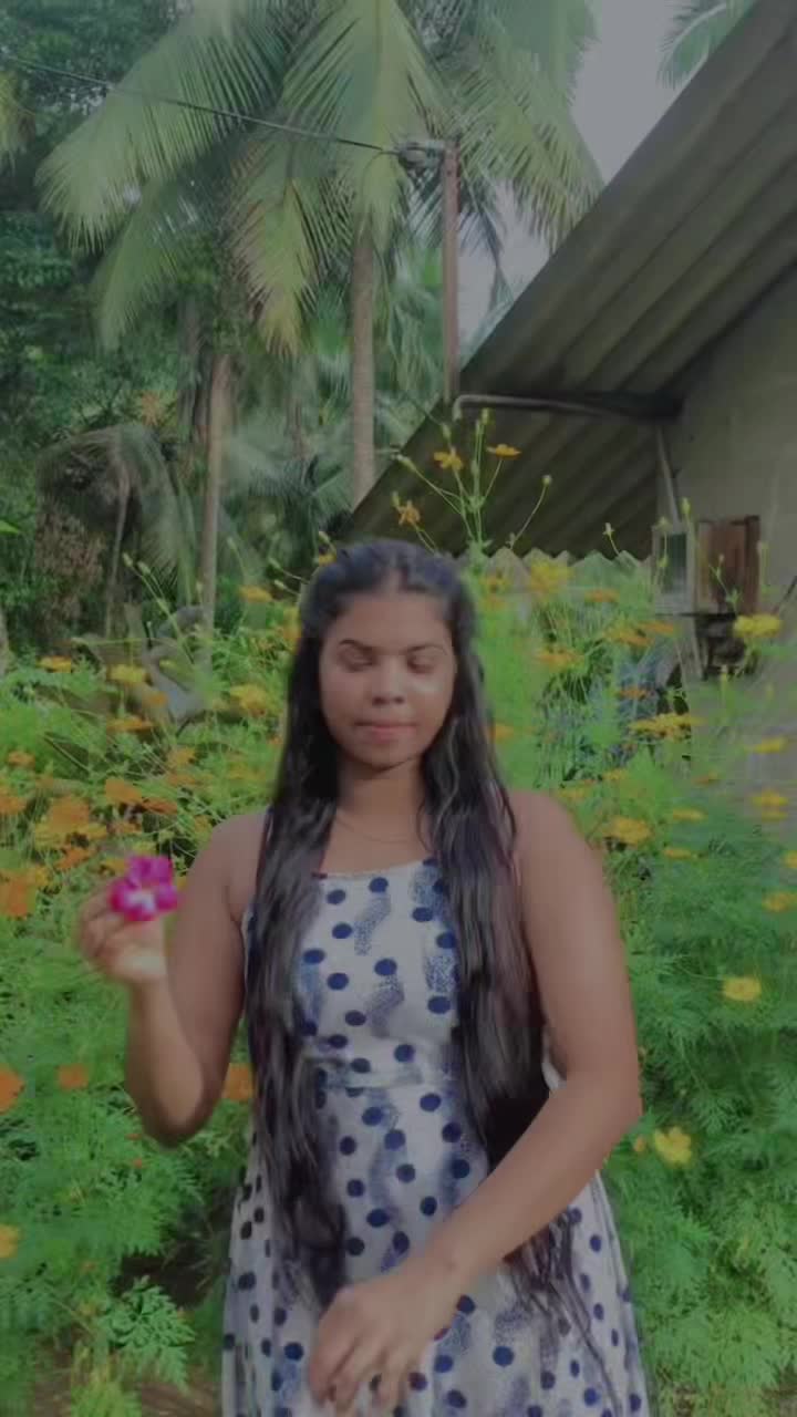 @janusadaleka