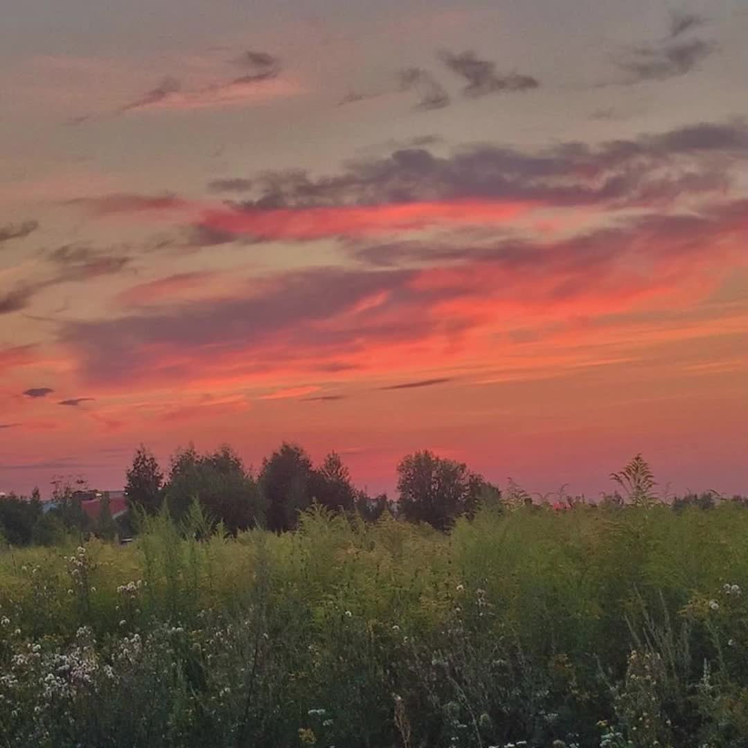 @тушёнка пикми